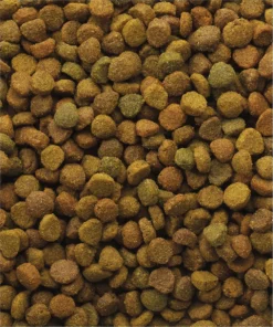 VERSELE-LAGA Versele Laga Classic Variety - Kattenvoer -10 Kg 5 VERSELE-LAGA Versele Laga Classic Variety - Kattenvoer -10 Kg -Merkloos Verkoop 1002x1200