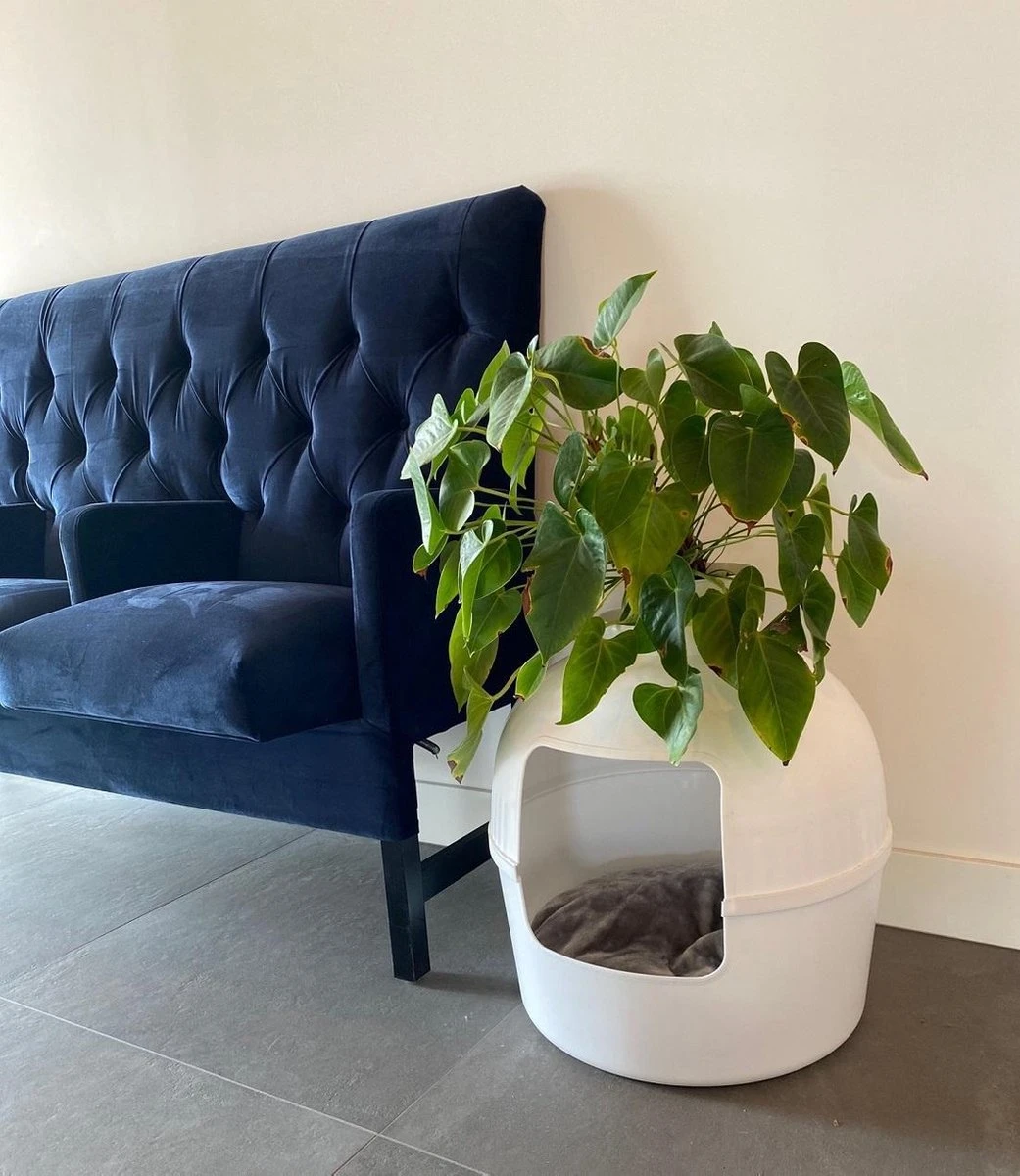 XXL Kattenbak – Verborgen Kattentoilet – Flower XXL Wit Voor Grote Katten Van RHRQuality 6 XXL Kattenbak – Verborgen Kattentoilet – Flower XXL Wit Voor Grote Katten Van RHRQuality - Afbeelding 6