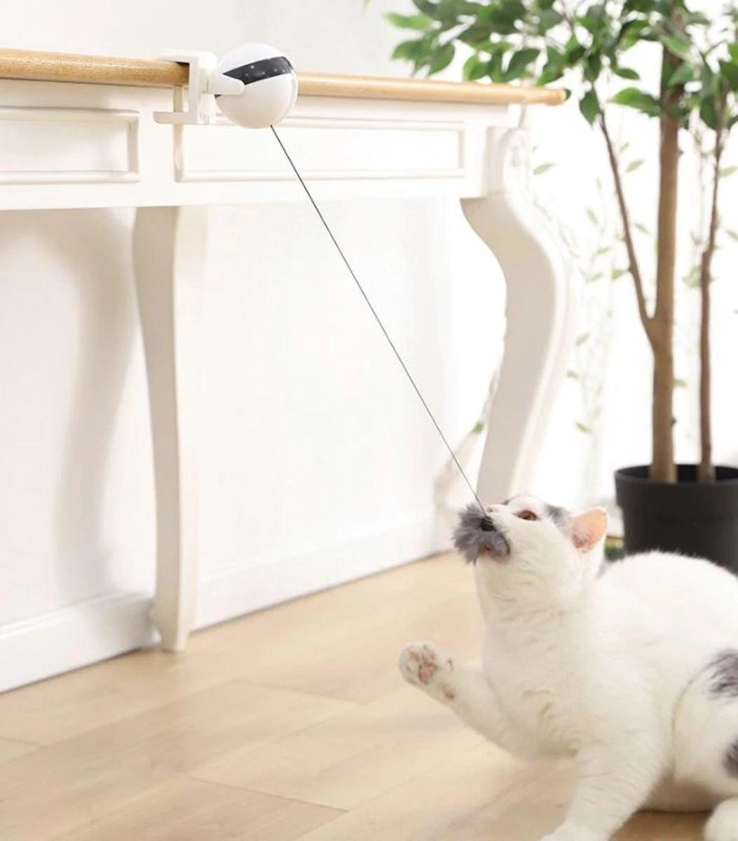 Merkloos Kattenspeelgoed - Katten Speelgoed - Katten Speeltje - Katten Bal - Katten - Kattenhengel - Kitten Speelgoed - Kattenspeeltjes - Elektrische - Muis - Automatische Hengel - Bal - Poes - Katten - Prooi - Kat - Poesjes - Interactief Kattenspeelgoed 2 Merkloos Kattenspeelgoed - Katten Speelgoed - Katten Speeltje - Katten Bal - Katten - Kattenhengel - Kitten Speelgoed - Kattenspeeltjes - Elektrische - Muis - Automatische Hengel - Bal - Poes - Katten - Prooi - Kat - Poesjes - Interactief Kattenspeelgoed - Image 2