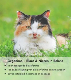 Organimal - Blaas En Nieren In Balans - Kat - O.a. Bij Blaasontsteking En Blaasgruis - 45 Tabletten A 700mg -Merkloos Verkoop 1071x1200 3