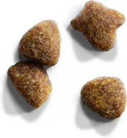 Iams Cat Adult - Lam - Kattenvoer - 10 Kg -Merkloos Verkoop 1102x1200 1