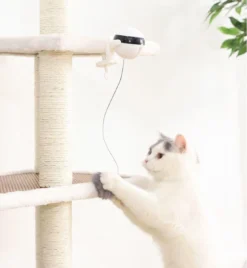 Merkloos Kattenspeelgoed - Katten Speelgoed - Katten Speeltje - Katten Bal - Katten - Kattenhengel - Kitten Speelgoed - Kattenspeeltjes - Elektrische - Muis - Automatische Hengel - Bal - Poes - Katten - Prooi - Kat - Poesjes - Interactief Kattenspeelgoed 11 Merkloos Kattenspeelgoed - Katten Speelgoed - Katten Speeltje - Katten Bal - Katten - Kattenhengel - Kitten Speelgoed - Kattenspeeltjes - Elektrische - Muis - Automatische Hengel - Bal - Poes - Katten - Prooi - Kat - Poesjes - Interactief Kattenspeelgoed -Merkloos Verkoop 1105x1200 3