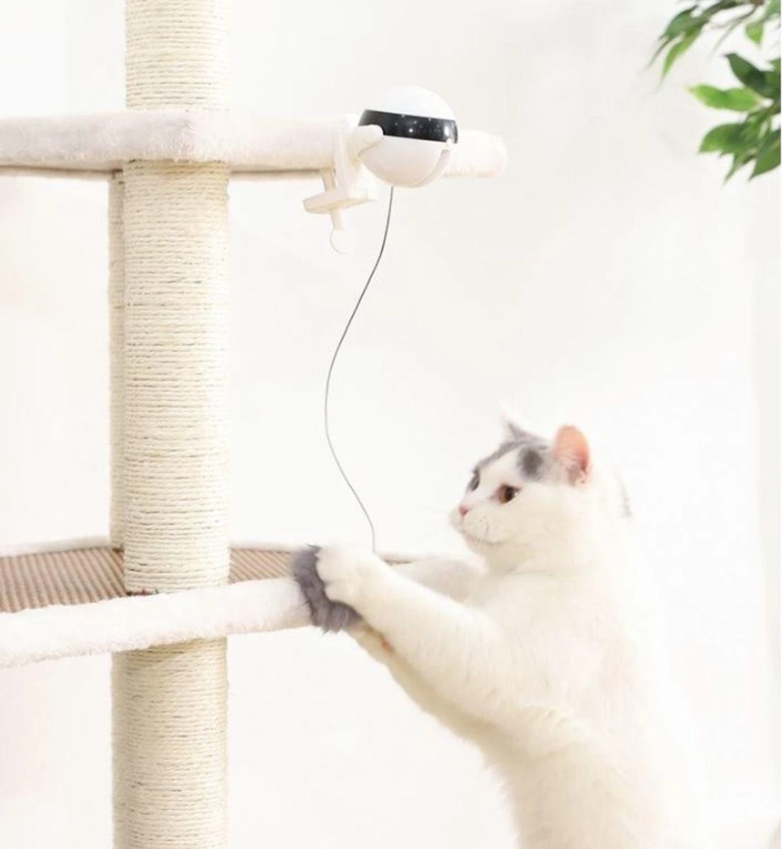 Merkloos Kattenspeelgoed - Katten Speelgoed - Katten Speeltje - Katten Bal - Katten - Kattenhengel - Kitten Speelgoed - Kattenspeeltjes - Elektrische - Muis - Automatische Hengel - Bal - Poes - Katten - Prooi - Kat - Poesjes - Interactief Kattenspeelgoed 6 Merkloos Kattenspeelgoed - Katten Speelgoed - Katten Speeltje - Katten Bal - Katten - Kattenhengel - Kitten Speelgoed - Kattenspeeltjes - Elektrische - Muis - Automatische Hengel - Bal - Poes - Katten - Prooi - Kat - Poesjes - Interactief Kattenspeelgoed - Image 6