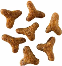 Smolke Kitten 4 Kg - Kat -Merkloos Verkoop 1121x1200 1