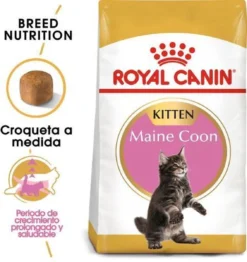 Royal Canin Maine Coon Kitten - Kattenvoer - 4 Kg -Merkloos Verkoop 1132x1200