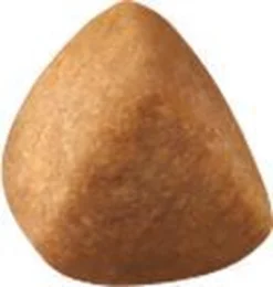 Royal Canin Ragdoll Adult - Kattenvoer - 2 Kg -Merkloos Verkoop 1141x1200