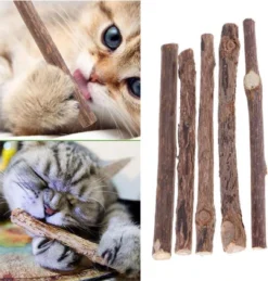 Matatabi Kauwstaafjes Voor Katten - 5x Matabi Stokjes - Kattenspeelgoed - 100% Natuurlijke Sticks - Plantaardig - Silver Vine Kauwstaven Voor Kittens - Kattenkruid Effect - Gebitsverzorging - 5 Stuks Vardaan Kauwstaven Voor Katten - XS - 11 Cm -Merkloos Verkoop 1143x1200