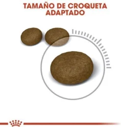 Royal Canin Hair & Skin Care - Kattenvoer - 2 Kg -Merkloos Verkoop 1146x1200 1