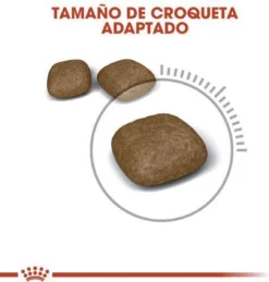 Royal Canin Urinary Care - Kattenvoer - 10 Kg -Merkloos Verkoop 1146x1200 3