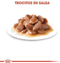 Royal Canin Wet Ageing 12+ (12X85 GR) -Merkloos Verkoop 1149x1200 1