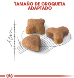 Royal Canin Sensible 33 - Kattenvoer - 2 Kg 22 Royal Canin Sensible 33 - Kattenvoer - 2 Kg -Merkloos Verkoop 1149x1200