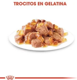 Royal Canin Sterilised In Jelly - Kattenvoer - 1020 G -Merkloos Verkoop 1149x1200 3