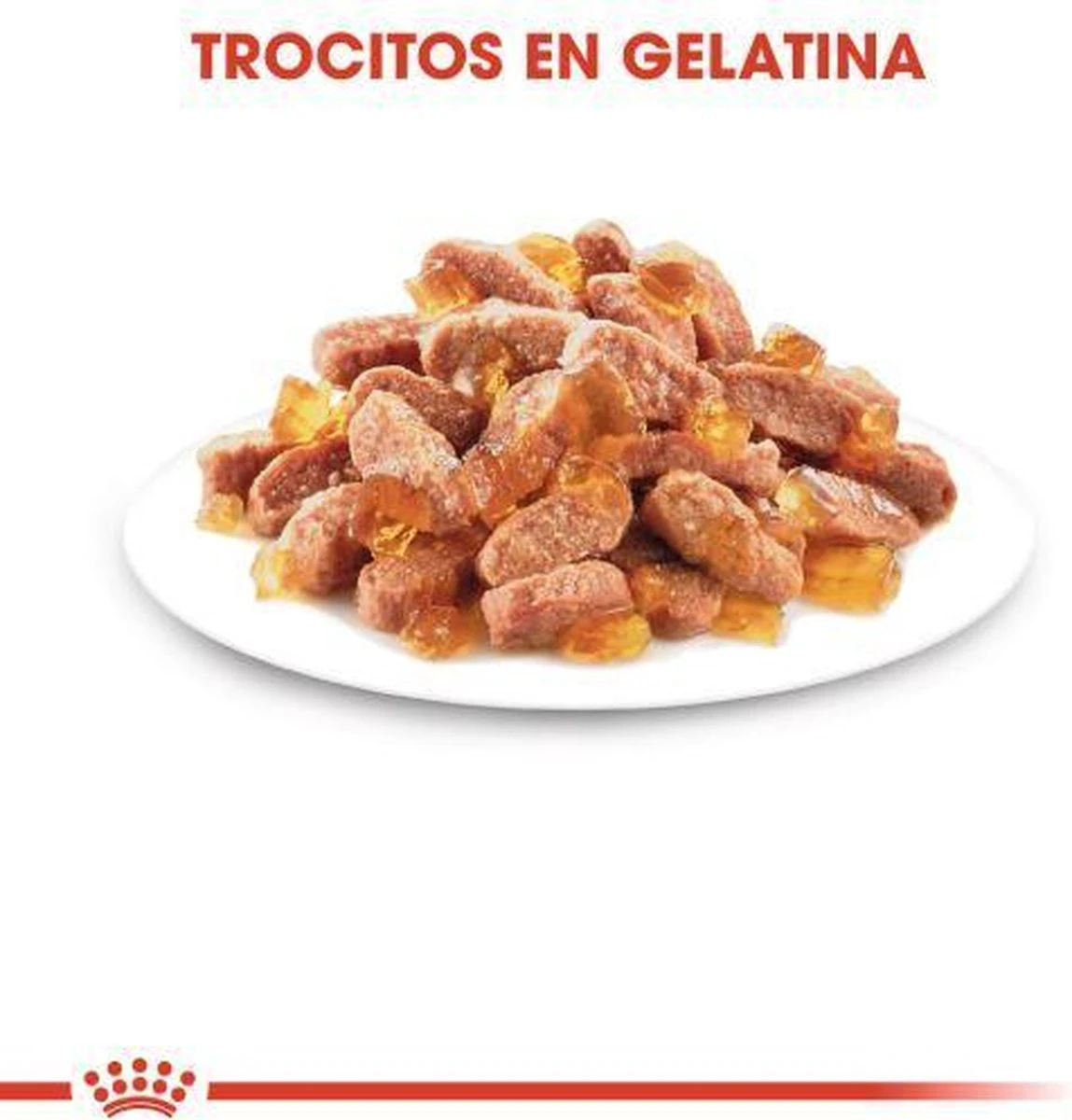 Royal Canin Kitten In Jelly - Kattenvoer - 1020 G 9 Royal Canin Kitten In Jelly - Kattenvoer - 1020 G - Image 9