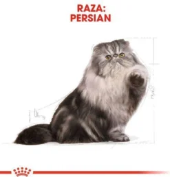 Royal Canin Persian Adult - Kattenvoer - 2 Kg 16 Royal Canin Persian Adult - Kattenvoer - 2 Kg -Merkloos Verkoop 1149x1200 5