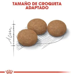 Royal Canin Ageing Sterilised 12+ - Kattenvoer - 2 Kg -Merkloos Verkoop 1149x1200 7