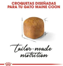 Royal Canin Maine Coon Kitten - Kattenvoer - 4 Kg -Merkloos Verkoop 1151x1200