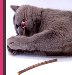 Make Me Purr Matatabi Sticks (5 Stuks) - Silver Vine Kattenkruid Stokjes - Catnip Effect Kauwstokjes - Kattensnack Kattensnoepjes - Kattenspeelgoed Kattenspeeltjes -Merkloos Verkoop 1152x1200 4