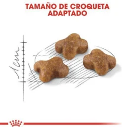 Royal Canin Kitten - Kittenvoer - 4 Kg -Merkloos Verkoop 1154x1200 2