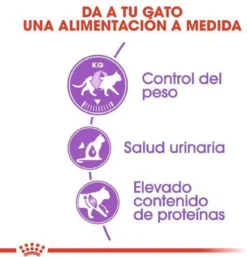 Royal Canin Sterilised 37 - Kattenvoer - 10 Kg -Merkloos Verkoop 1154x1200 3