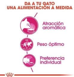 ROYAL CANIN® Aroma Exigent - Kattenvoer - 400 Gram -Merkloos Verkoop 1154x1200 7