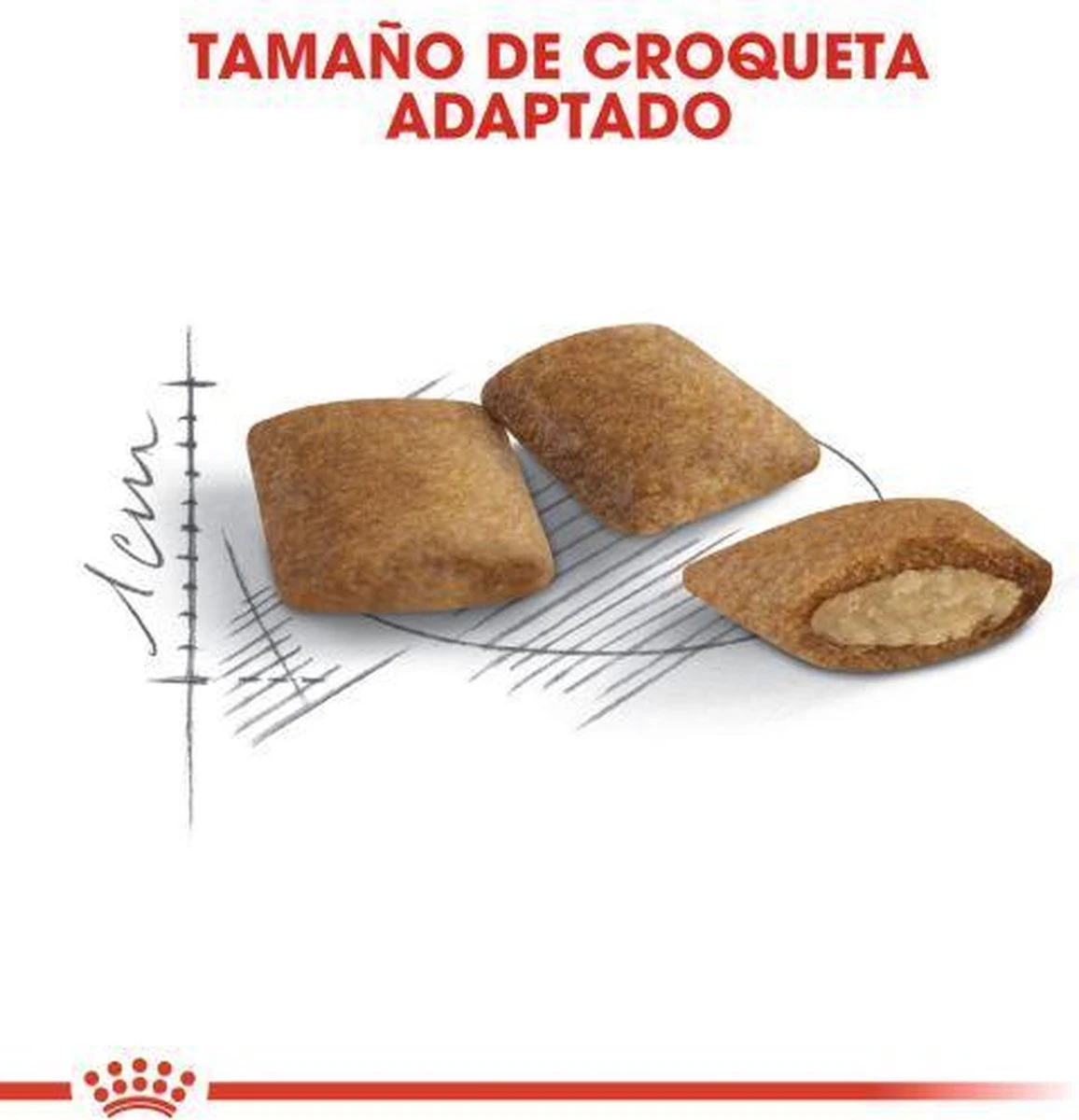 Royal Canin Ageing 12+ - Kattenvoer - 4 Kg 6 Royal Canin Ageing 12+ - Kattenvoer - 4 Kg - Image 6