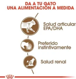 Royal Canin Wet Ageing 12+ (12X85 GR) -Merkloos Verkoop 1158x1200