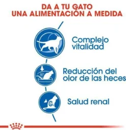 Royal Canin Indoor 7+ - Kattenvoer - 3,5 Kg 20 Royal Canin Indoor 7+ - Kattenvoer - 3,5 Kg -Merkloos Verkoop 1161x1200 2