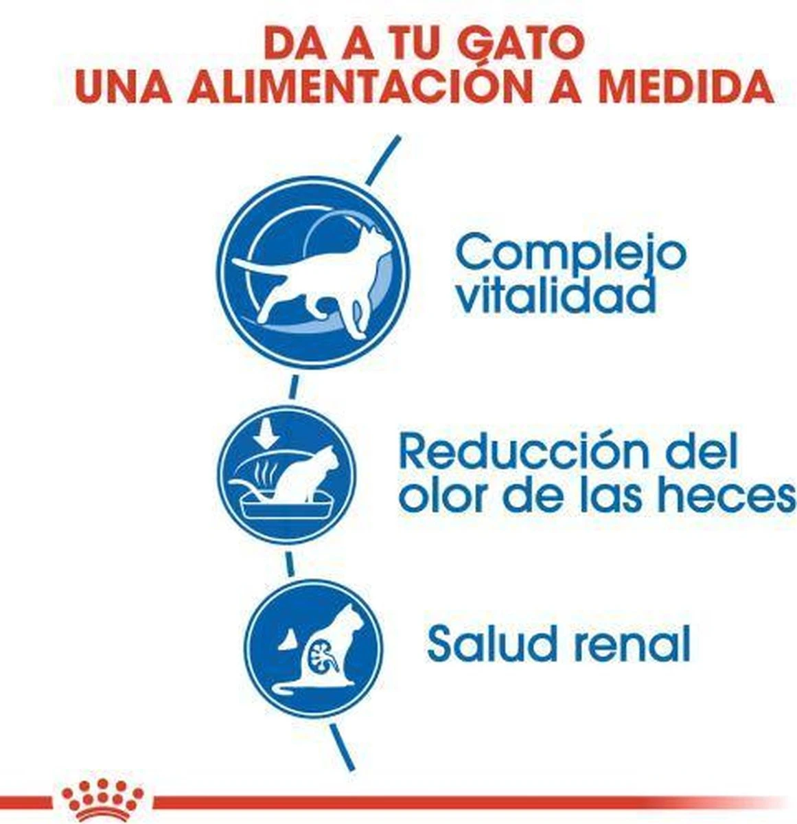 Royal Canin Indoor 7+ - Kattenvoer - 3,5 Kg 4 Royal Canin Indoor 7+ - Kattenvoer - 3,5 Kg - Image 4