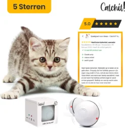 Catchit!® Interactieve Zelfrollende Bal Katten - Kattenspeeltjes - Inclusief USB Kabel En Staartjes - Kattenspeelgoed - Smart - Grijs -Merkloos Verkoop 1171x1200 2