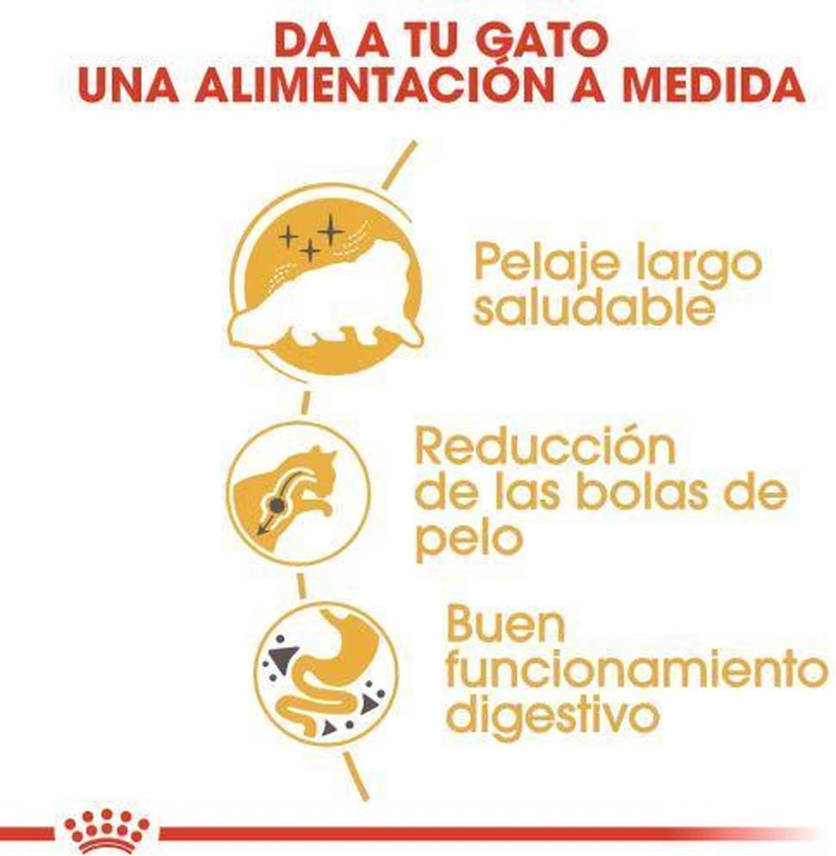 Royal Canin Persian Adult - Kattenvoer - 2 Kg 6 Royal Canin Persian Adult - Kattenvoer - 2 Kg - Image 6