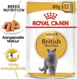 Royal Canin Fbn British Shorthair Adult Pouch - Kattenvoer - 12x85 G -Merkloos Verkoop 1173x1200 1