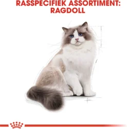 Royal Canin Ragdoll Adult - Kattenvoer - 2 Kg -Merkloos Verkoop 1177x1200 2