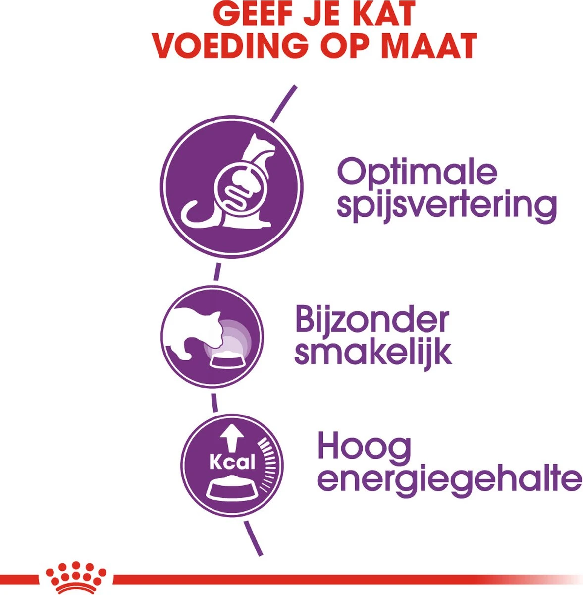 Royal Canin Sensible 33 - Kattenvoer - 2 Kg 12 Royal Canin Sensible 33 - Kattenvoer - 2 Kg - Image 12