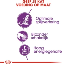 Royal Canin Sensible 33 - Kattenvoer - 10+2 Kg Bonusbag -Merkloos Verkoop 1178x1200