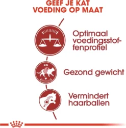 Royal Canin Fit 32 4 Kg 17 Royal Canin Fit 32 4 Kg -Merkloos Verkoop 1179x1200 17