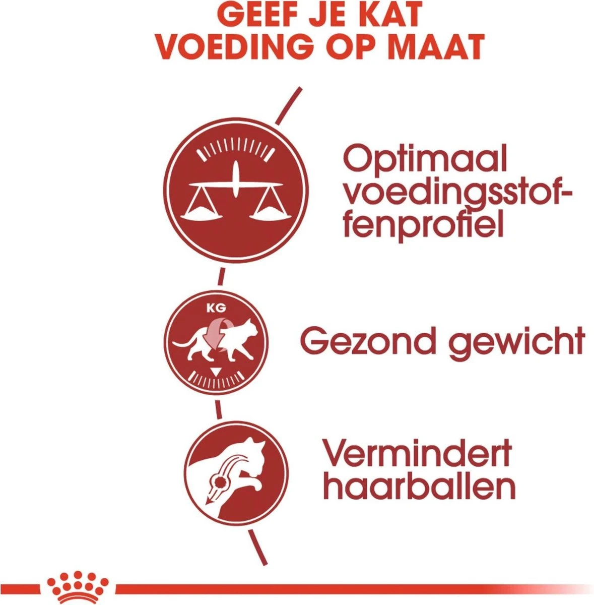 Royal Canin Fit 32 4 Kg 3 Royal Canin Fit 32 4 Kg - Image 3