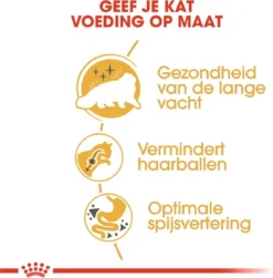 Royal Canin Persian Adult - Kattenvoer - 2 Kg 17 Royal Canin Persian Adult - Kattenvoer - 2 Kg -Merkloos Verkoop 1179x1200 18