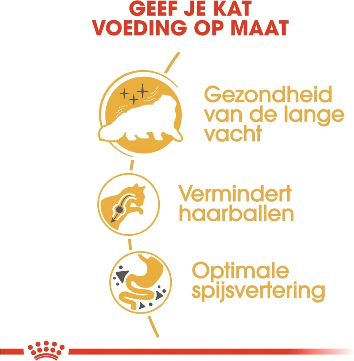 Royal Canin Persian Adult - Kattenvoer - 2 Kg 5 Royal Canin Persian Adult - Kattenvoer - 2 Kg - Image 5