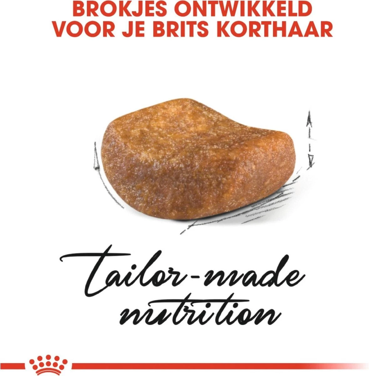 Royal Canin British Shorthair Adult - Kattenvoer - 4 Kg 3 Royal Canin British Shorthair Adult - Kattenvoer - 4 Kg - Image 3