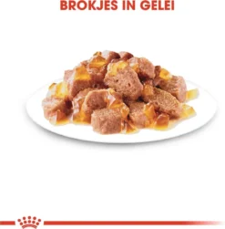 Royal Canin Sterilised In Jelly - Kattenvoer - 1020 G -Merkloos Verkoop 1179x1200 9