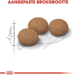 Royal Canin Ageing Sterilised 12+ - Kattenvoer - 2 Kg -Merkloos Verkoop 1180x1200 13