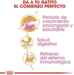 Royal Canin Maine Coon Kitten - Kattenvoer - 4 Kg -Merkloos Verkoop 1180x1200