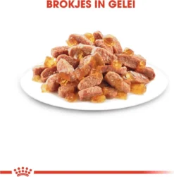 Royal Canin Kitten In Jelly - Kattenvoer - 1020 G 22 Royal Canin Kitten In Jelly - Kattenvoer - 1020 G -Merkloos Verkoop 1183x1200 1