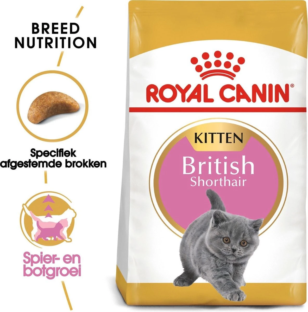 Royal Canin British Shorthair Kitten - 2 Kg 2 Royal Canin British Shorthair Kitten - 2 Kg - Image 2