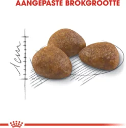 Royal Canin Outdoor 7+ - 4 Kg -Merkloos Verkoop 1184x1200 4