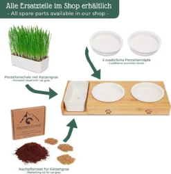 Pfotenolymp® Voederstation Met Kattengras Voor Katten - Porseleinen Kattenbak/Voedingsbak - Verhoogde Kom Set Met Kattengrasbak - Voerbak Hoog 8 Pfotenolymp® Voederstation Met Kattengras Voor Katten - Porseleinen Kattenbak/Voedingsbak - Verhoogde Kom Set Met Kattengrasbak - Voerbak Hoog -Merkloos Verkoop 1184x1200 9