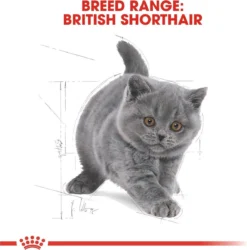 Royal Canin British Shorthair Kitten - 2 Kg 18 Royal Canin British Shorthair Kitten - 2 Kg -Merkloos Verkoop 1185x1200