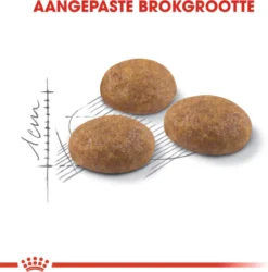 Royal Canin Outdoor - Kattenvoer - 10 Kg -Merkloos Verkoop 1186x1200 5