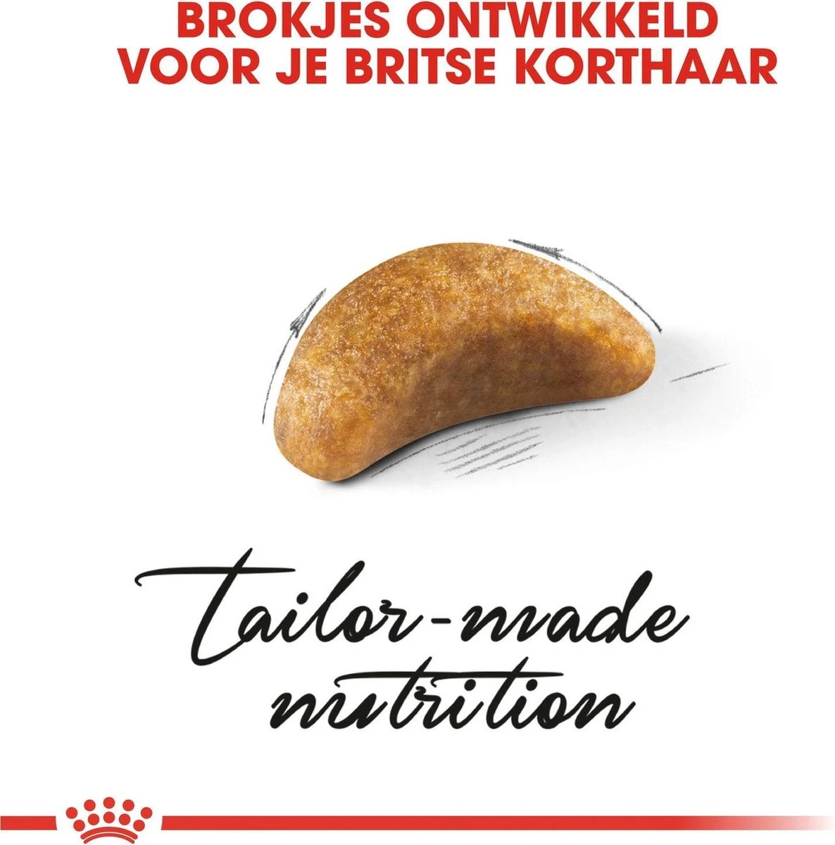 Royal Canin British Shorthair Kitten - 2 Kg 3 Royal Canin British Shorthair Kitten - 2 Kg - Image 3