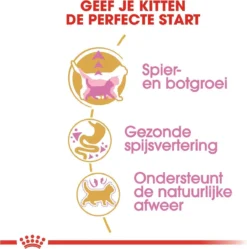 Royal Canin British Shorthair Kitten - 2 Kg 16 Royal Canin British Shorthair Kitten - 2 Kg -Merkloos Verkoop 1188x1200